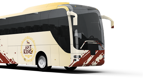 Luxury Bus